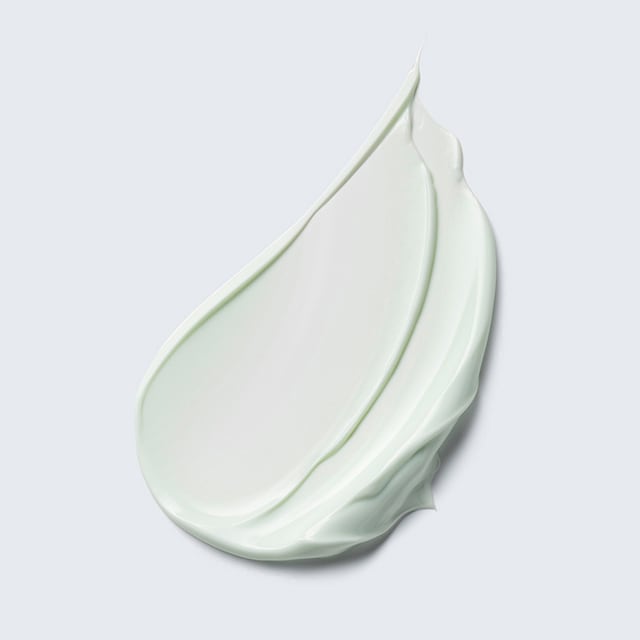 DayWear Moisturiser Multi-Protection Anti-Oxidant 24H‑Moisture Creme SPF 15