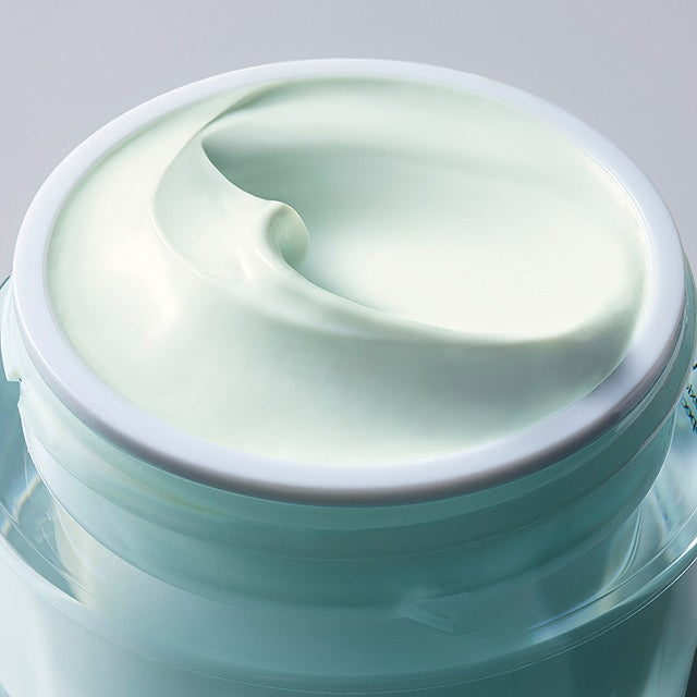 DayWear Moisturiser Multi-Protection Anti-Oxidant 24H‑Moisture Creme SPF 15