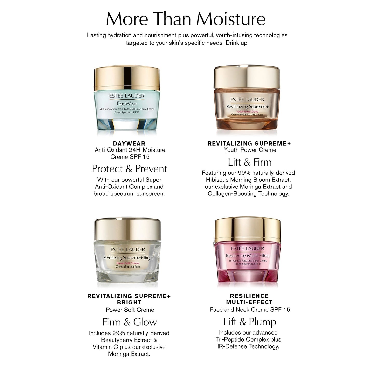 DayWear Moisturiser Multi-Protection Anti-Oxidant 24H‑Moisture Creme SPF 15